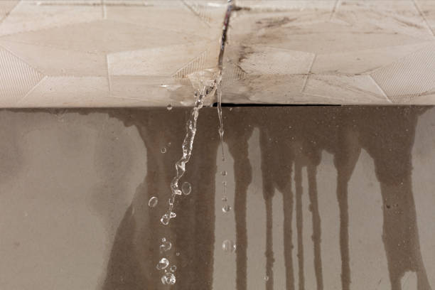 Professional Flood Damage Cleanup technician working in Kincaid, IL
